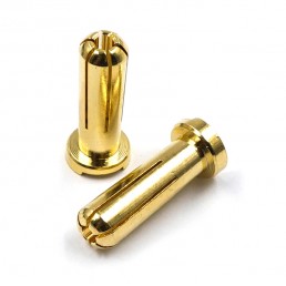 5mm Male Connector 5x16mm 2 pcs Gold